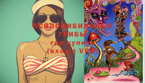 прущие крисы Балахна