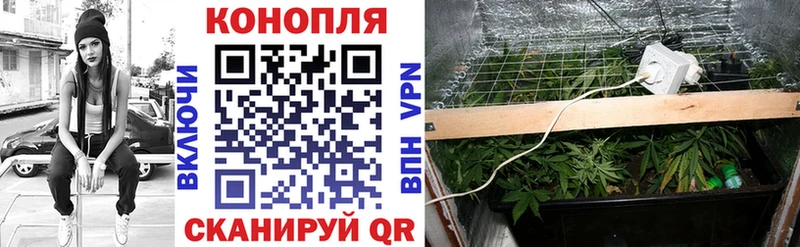 купить наркотик  Верхняя Пышма  Марихуана SATIVA & INDICA 